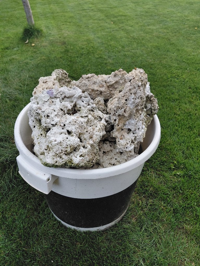 Droge steen zeeaquarium, Dieren en Toebehoren, Ophalen, Gebruikt