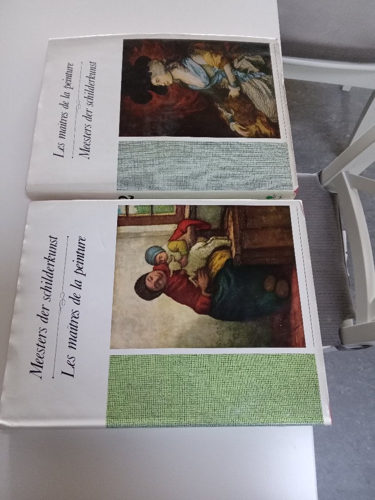 soubryboeken deel 2 en 4, Boeken, Ophalen of Verzenden, Zo goed als nieuw, Prentenboek