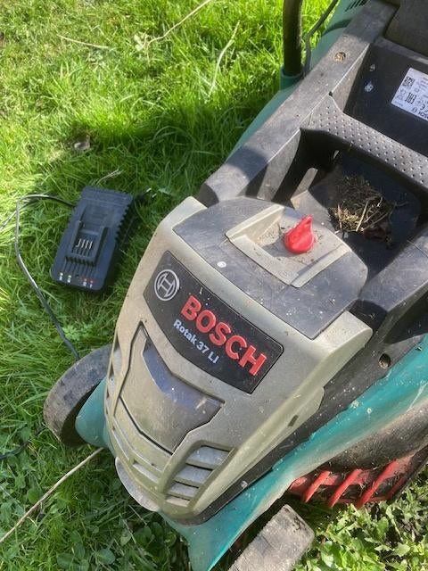 machine à gazon, Tondeuses à gazon sur batterie, Tondeuse rotative, 30 à 39 cm, Enlèvement