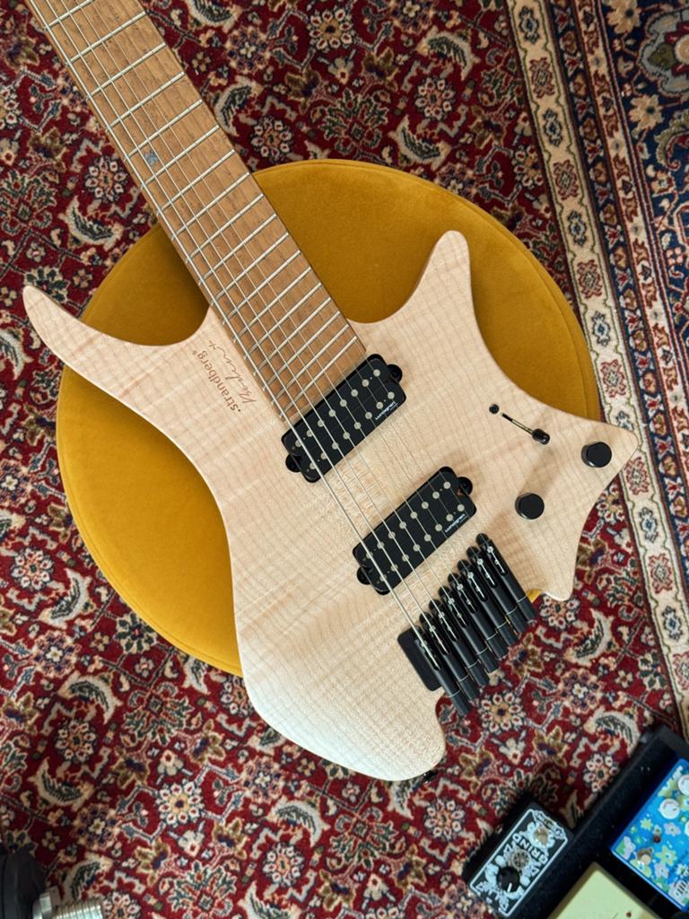Strandberg Boden + 8 Natural 1 de 1, Musique & Instruments, Instruments à corde | Guitares | Électriques, Enlèvement, Neuf, Solid body