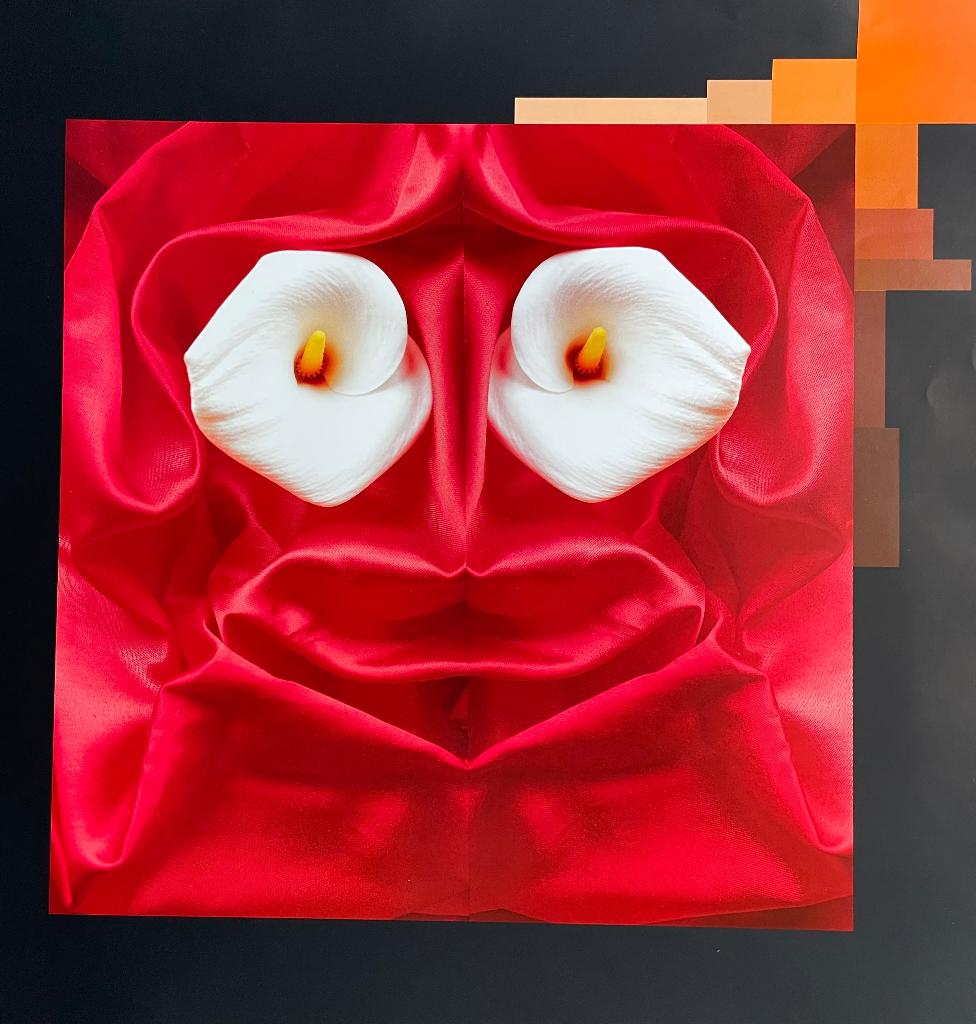 Wanddecoratie, Ophalen of Verzenden, Nieuw
