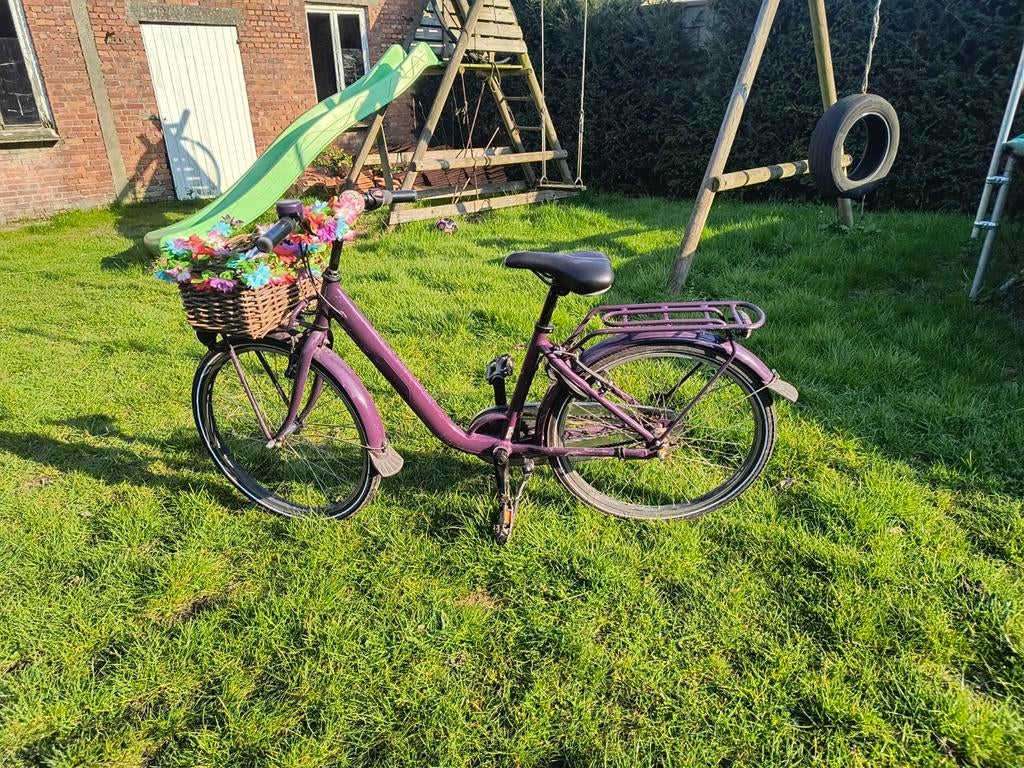Fiets meisje paars 24 inch batavus, Enlèvement, 24 pouces, Vitesses