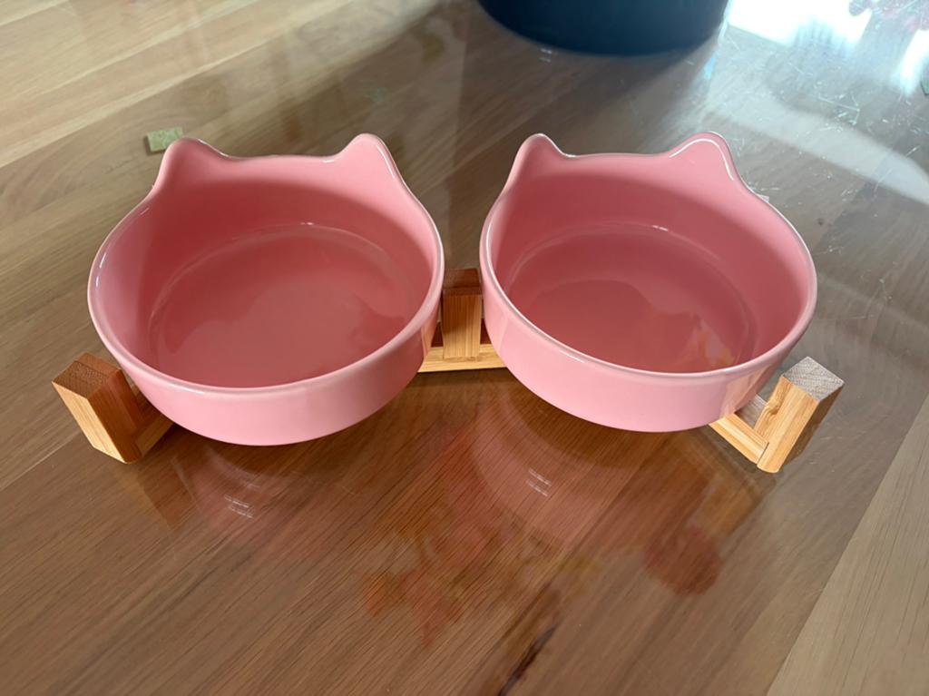 Roze, Enlèvement, Chat