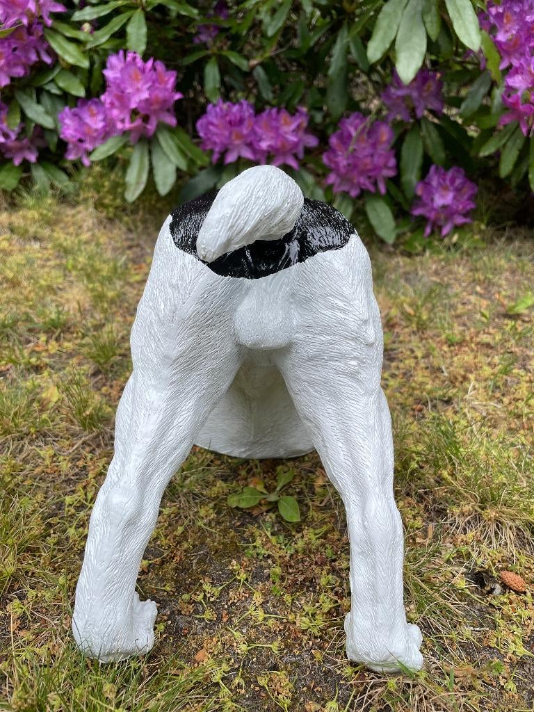 Jack Russel hond wit/zwart tuin, gazon, boerderij 30cm, Ophalen of Verzenden, Nieuw, Kunststof, Dierenbeeld