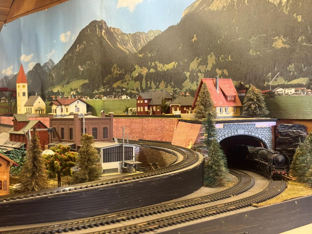 Grote modeltreinbaan / modelspoorbaan op maat gebouwd, Ophalen, Gebruikt, Gelijkstroom of Wisselstroom, Treinset