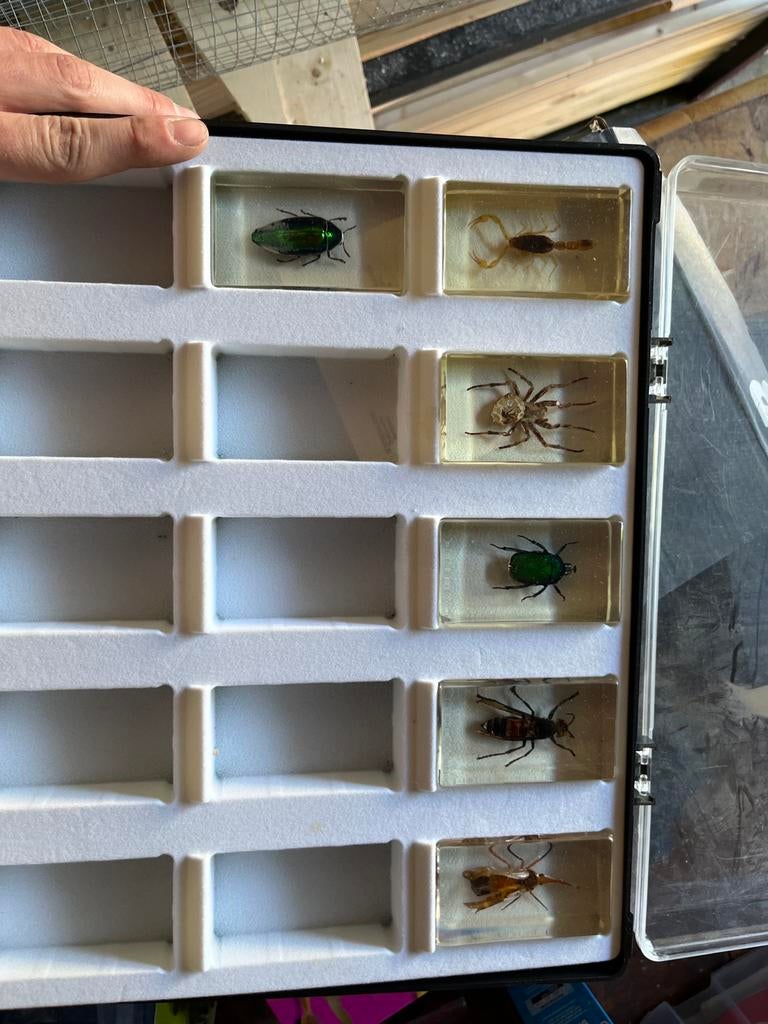 Siliconen insectenhoesje, Ophalen of Verzenden, Zo goed als nieuw