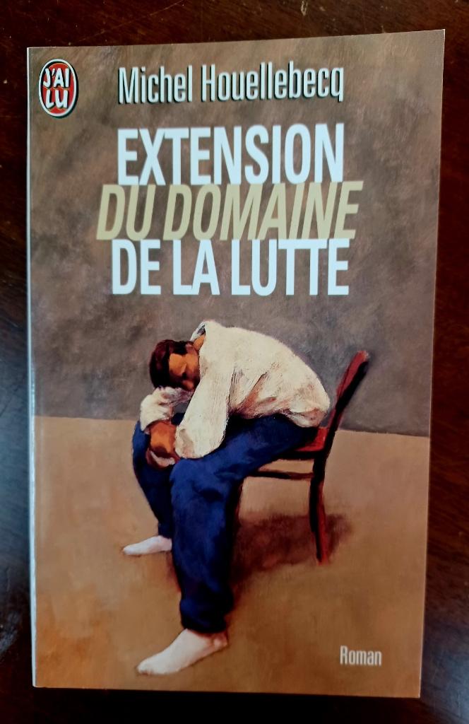 Michel Houellebecq, Extension du domaine de la lutte, Michel Houellebecq, Enlèvement ou Envoi, Comme neuf, Reste du monde