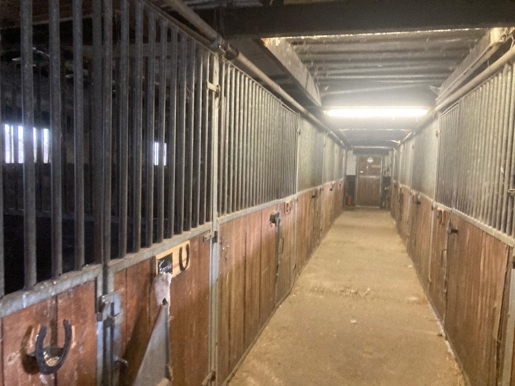 Paardenstalling, Dieren en Toebehoren