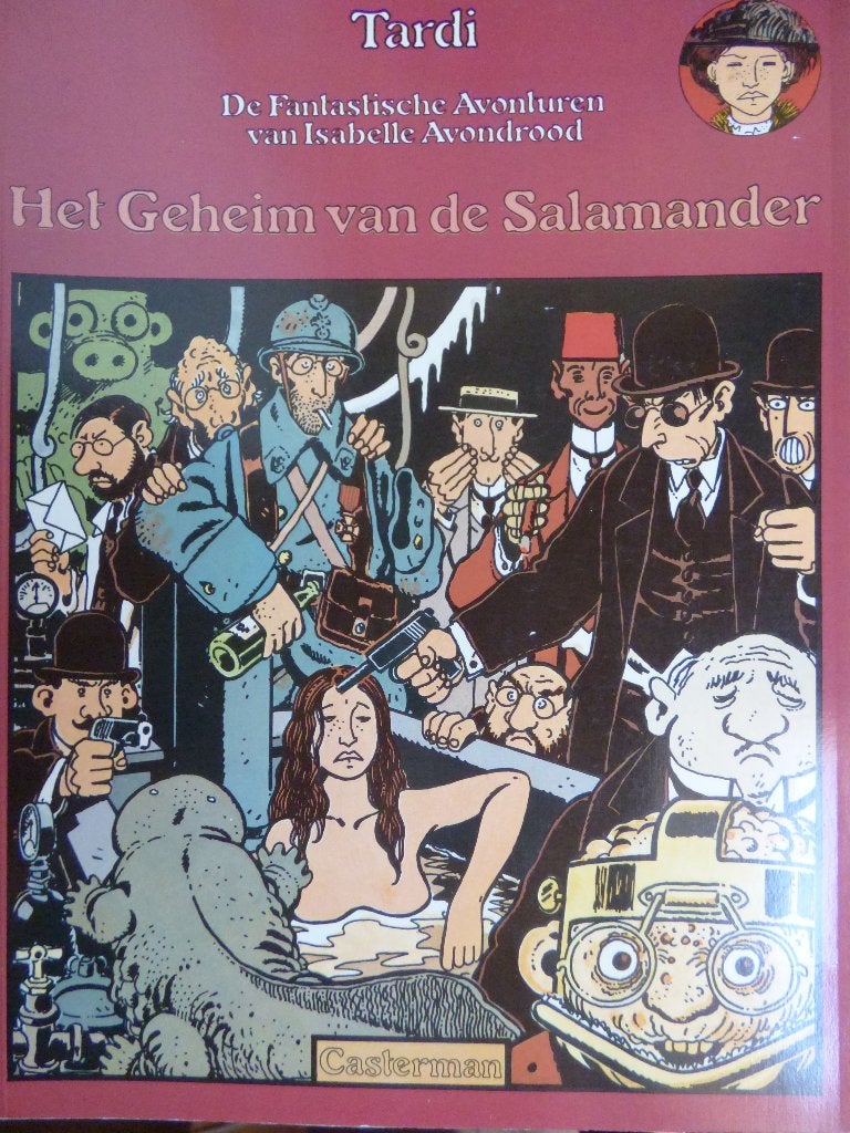 isabelle avondrood,  het geheim van de salamander, Boeken, Ophalen of Verzenden