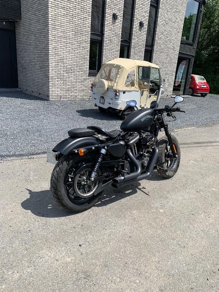 Harley Davidson, Motos, Permis Moto A, Occasion, Plus de 35 kW, Chopper