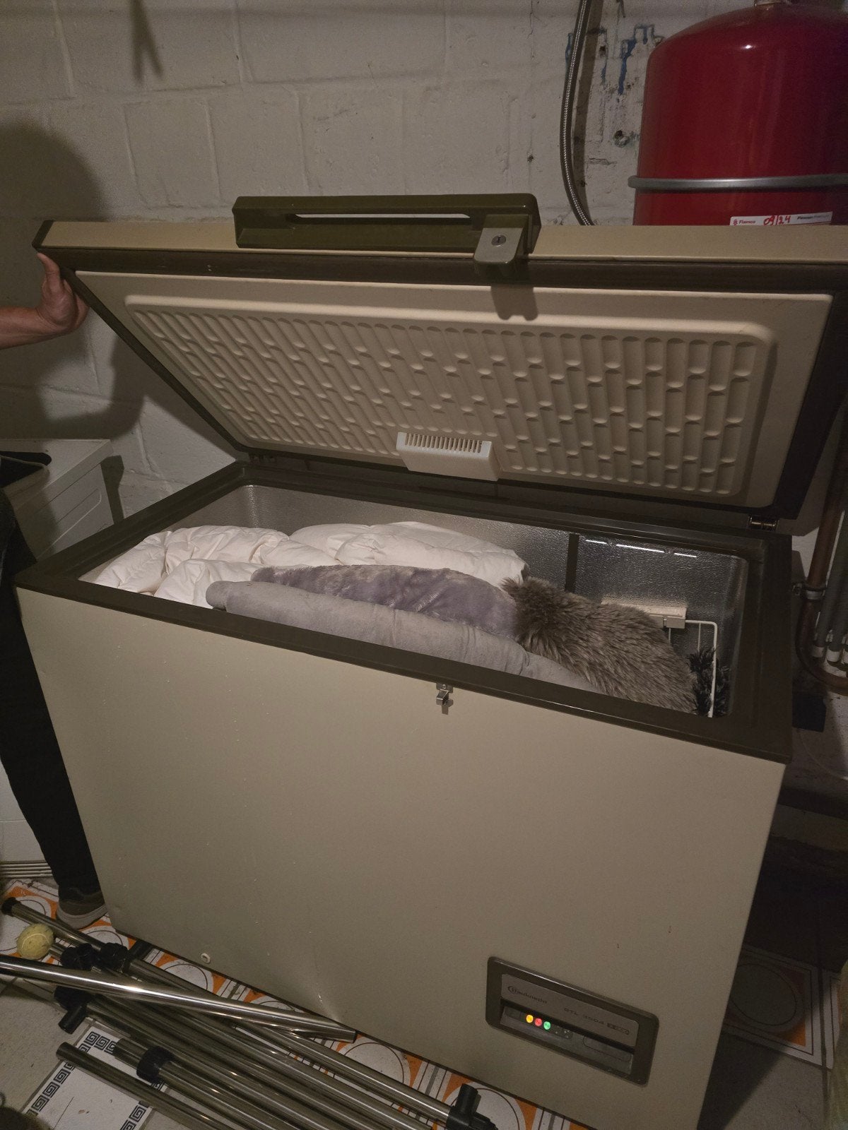 congélateur bahut jamais servis, Elektronische apparatuur, 120 tot 140 cm, Tussenbouw, Nieuw, Energieklasse A of zuiniger