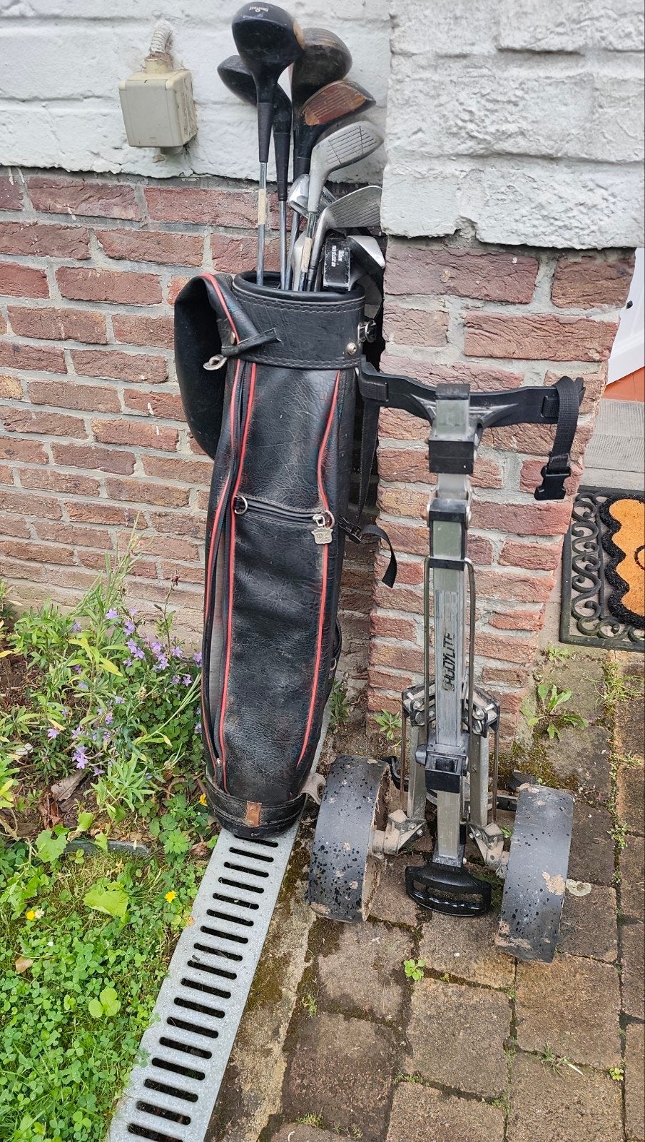 Chariot de golf avec sac et cubs, Ophalen, Gebruikt