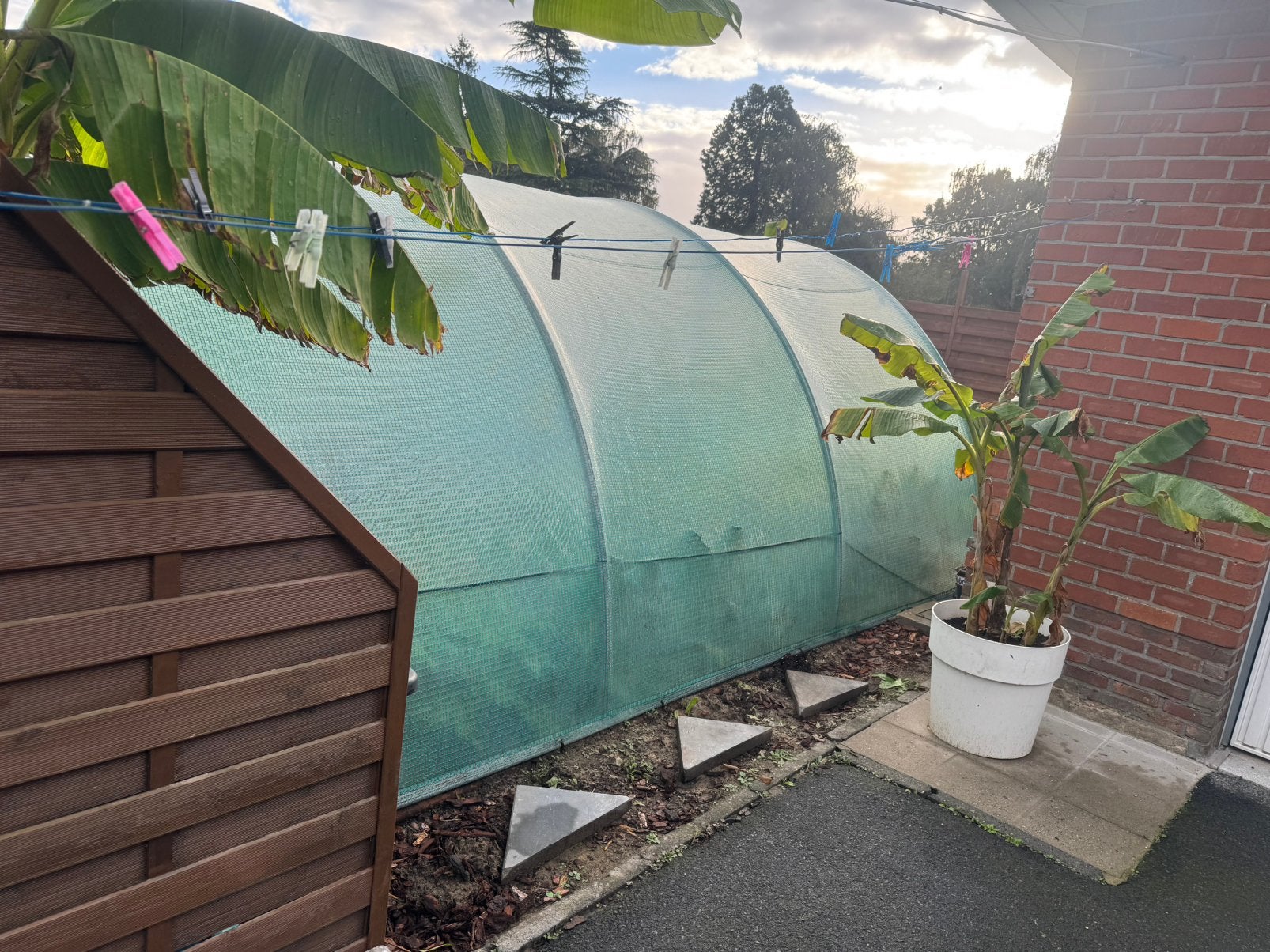 Serre, Tuin en Terras, Ophalen, Zo goed als nieuw, Overige materialen, Kweekkas