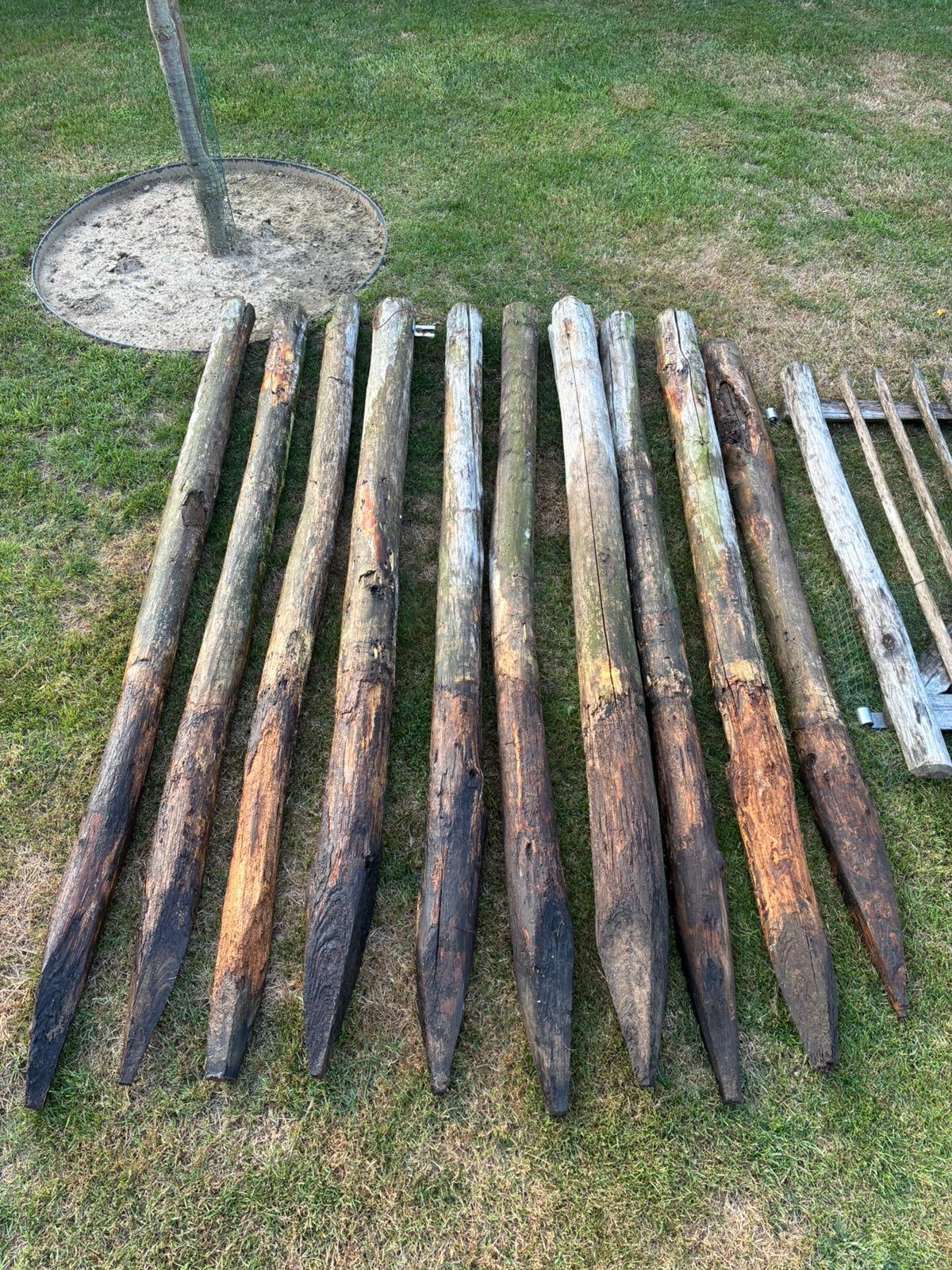 Kastanje afsluiting, Ophalen, Gebruikt, Hout, Met poort