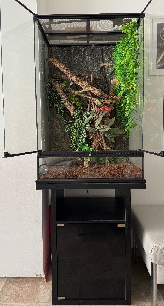 Terrarium, Animaux & Accessoires, Enlèvement, Utilisé, Terrarium ou Paludarium