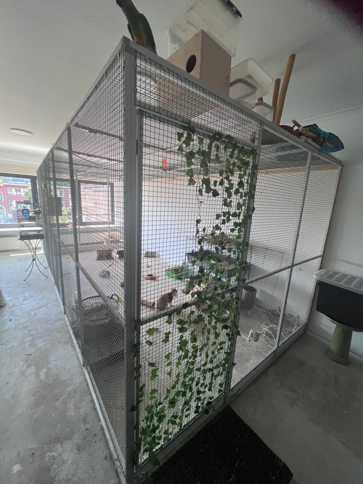 Voliere te koop, Dieren en Toebehoren, Vogels | Hokken en Kooien, Zo goed als nieuw, Volière, Aluminium, Ophalen