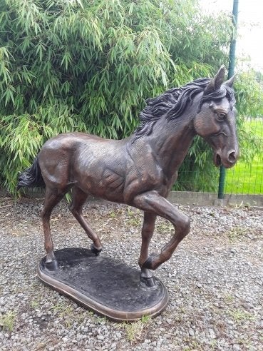 Paard in brons., Ophalen