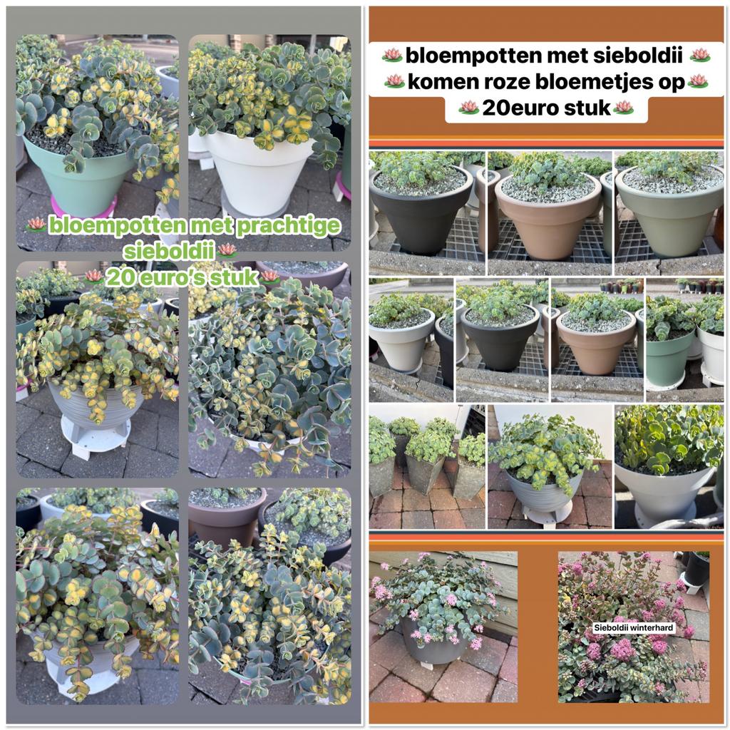 Assortiment, Ophalen