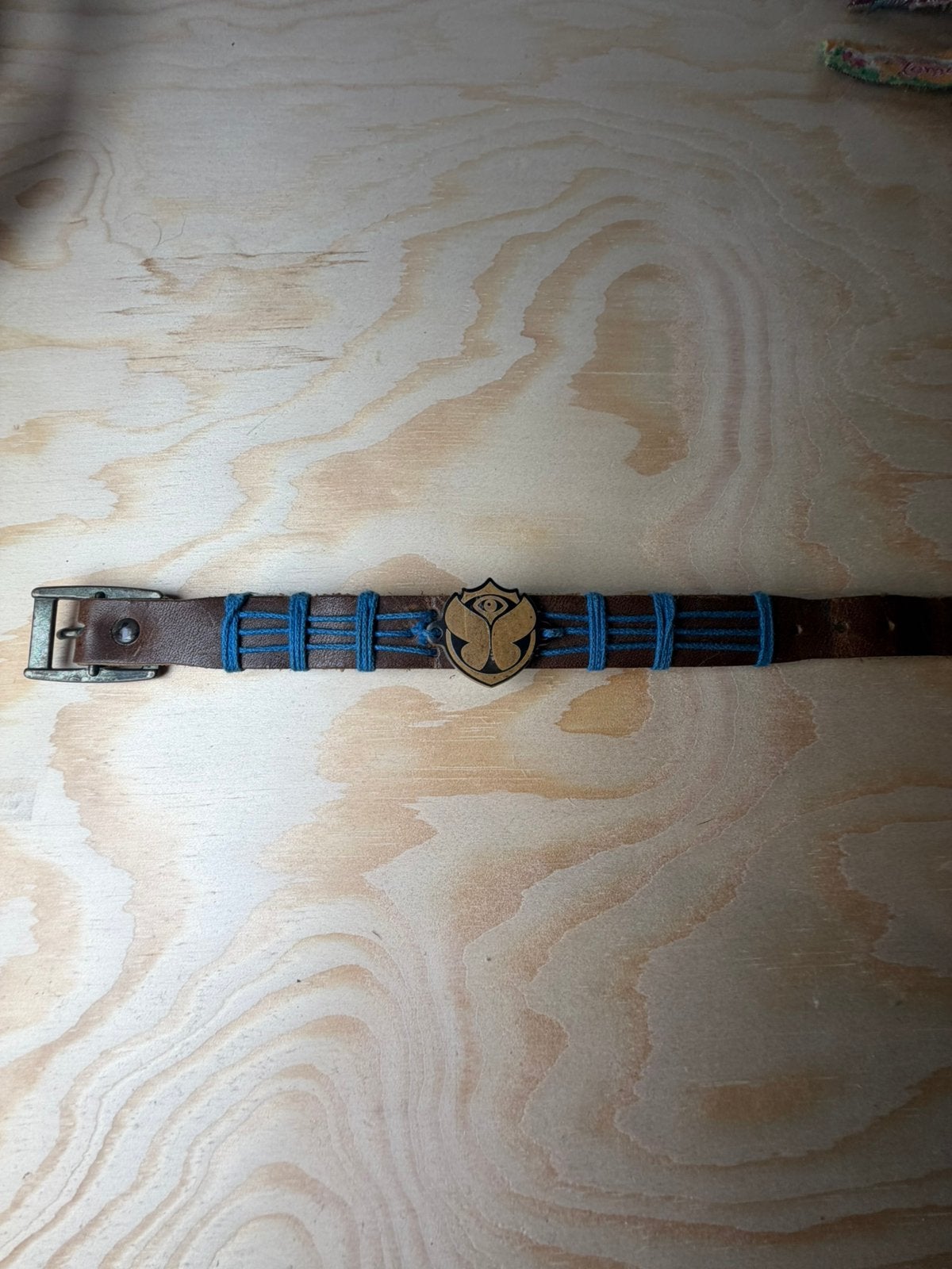 Bandje Tomorrowland 2013, Ophalen of Verzenden, Gedragen