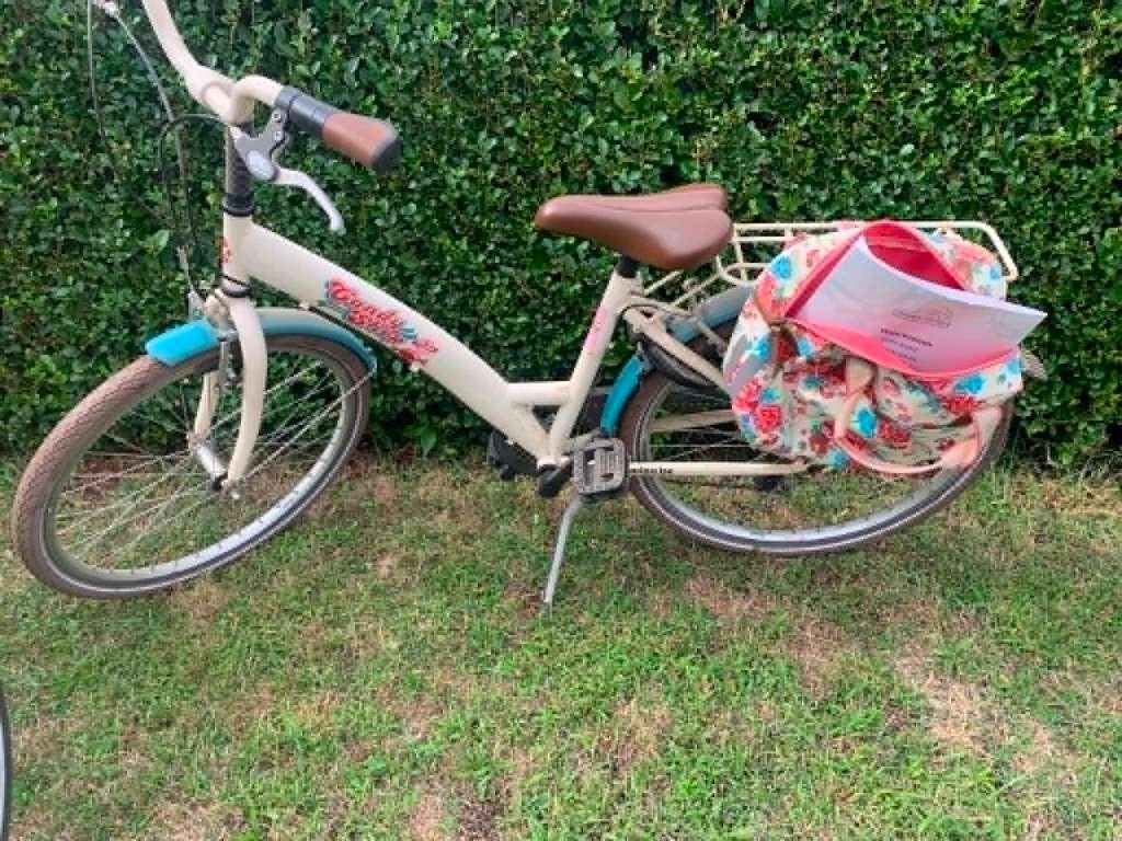 Meisjes fiets, Enlèvement, Utilisé, BikeFun Kids (BFK)