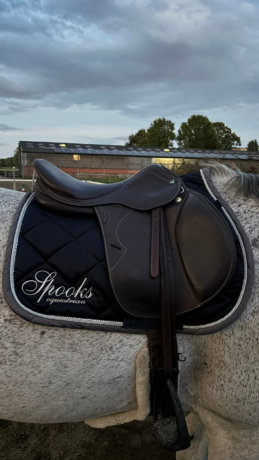 Prestige versailles, Dieren en Toebehoren, M (17 inch), Prestige, Middel, Ophalen