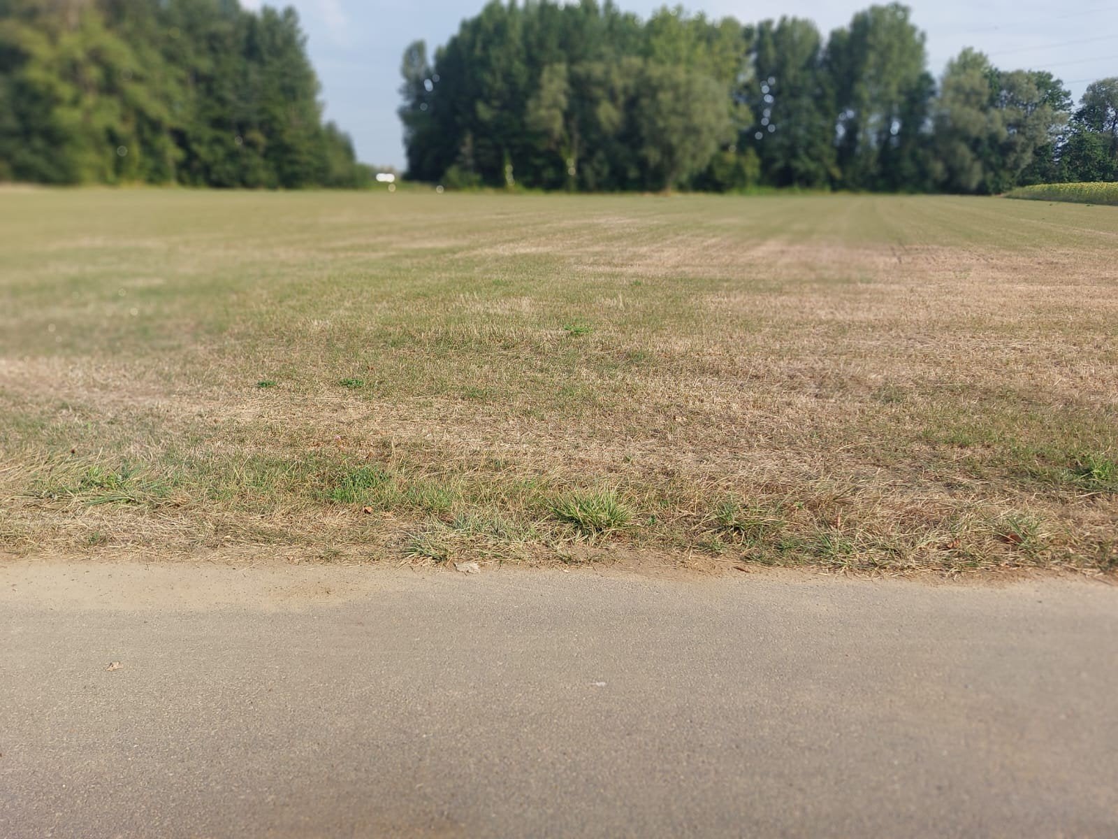 Landbouwgrond te koop in Leuven., Immo