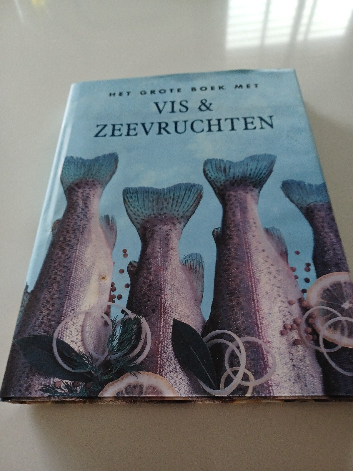 Het grote boek met Vis & zeevruchten, Ophalen of Verzenden, Zo goed als nieuw, Overige onderwerpen, Los deel
