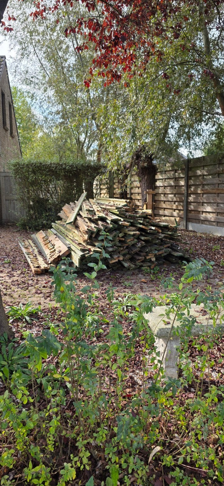 hout gratis af te halen, Ophalen
