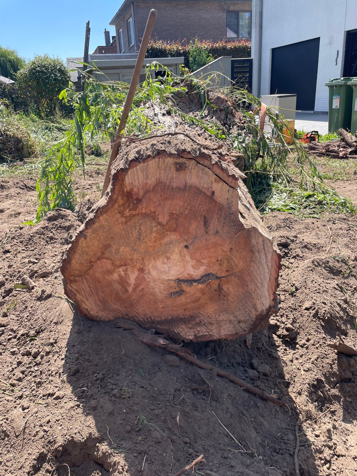 Boomstronk/stoofhout zelf te verzagen, Tuin en Terras, Brandhout, Ophalen, Overige houtsoorten, Stammen
