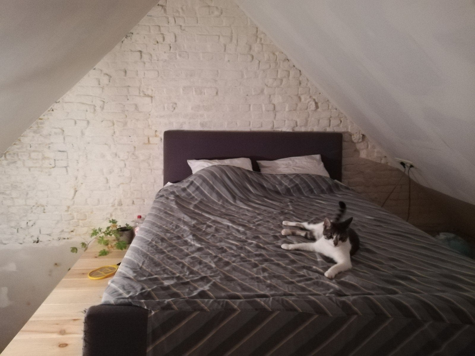 Gestoffeerd tweepersoonsbed + kwaliteitsmatras, Enlèvement, 220 cm, 160 cm