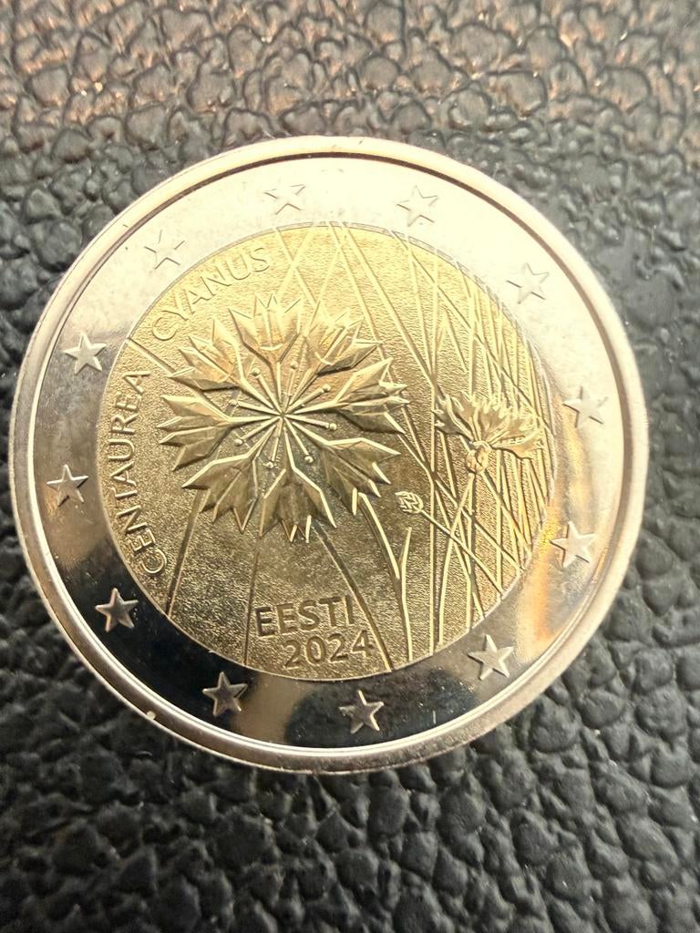2 euro 2024 estland, Timbres & Monnaies, Monnaies | Europe | Monnaies euro, Enlèvement ou Envoi, Estonie, 2 euros