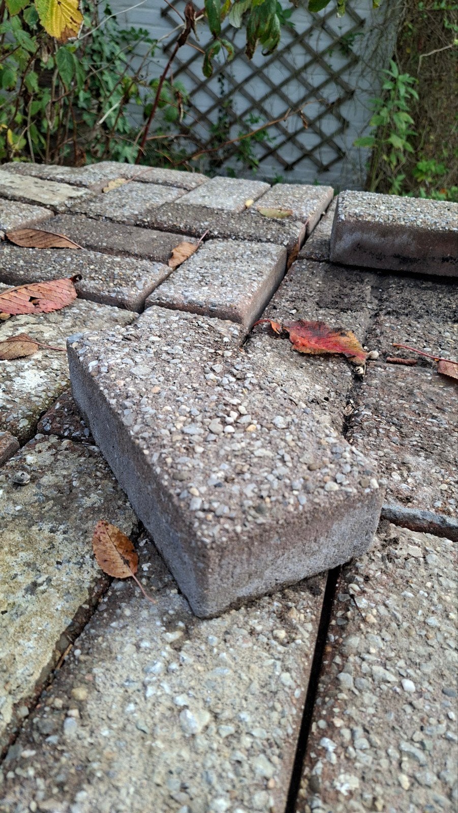GRATIS Betonklinkers, Ophalen, Gebruikt, 10 m² of meer, Klinkers