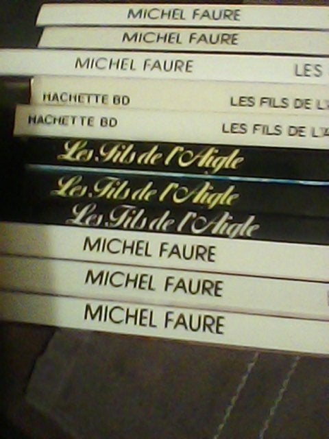 les fils de l' aigle, Livres, BD, Série complète ou Série, Enlèvement, Utilisé, Michel Faure
