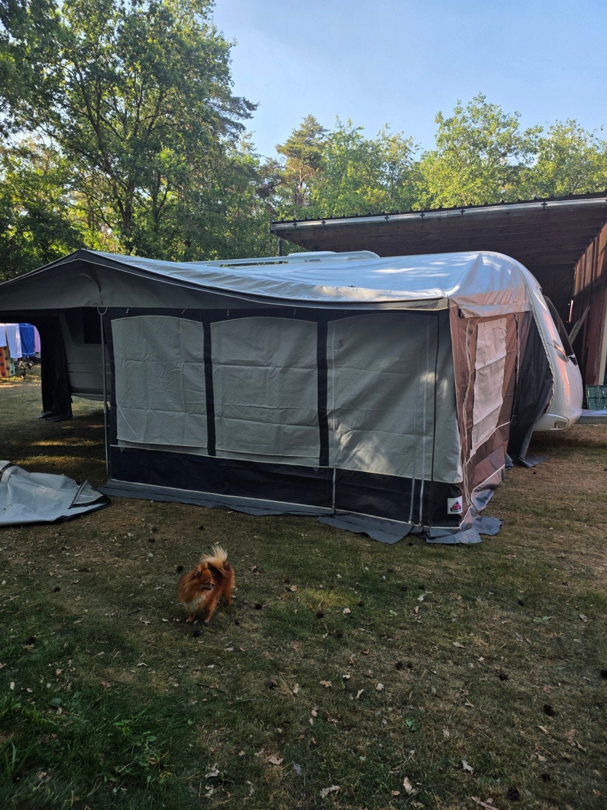 Voortent dorema, Caravanes & Camping, Auvents, Enlèvement, Dorema