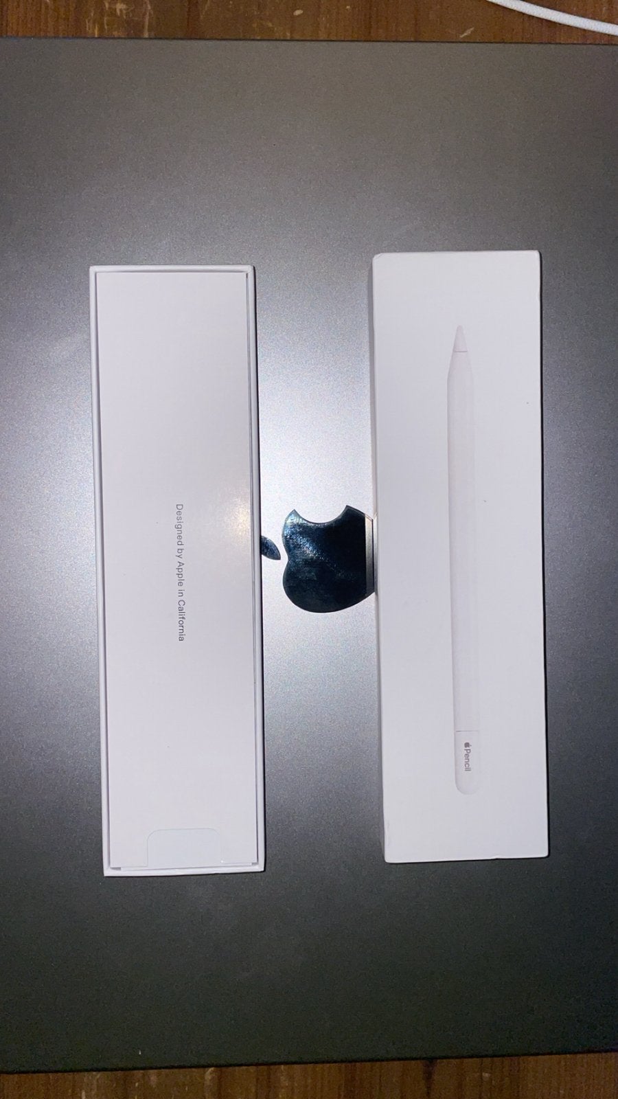 Apple Pencil USB C, Computers en Software, Ophalen of Verzenden, Nieuw, Apple iPad