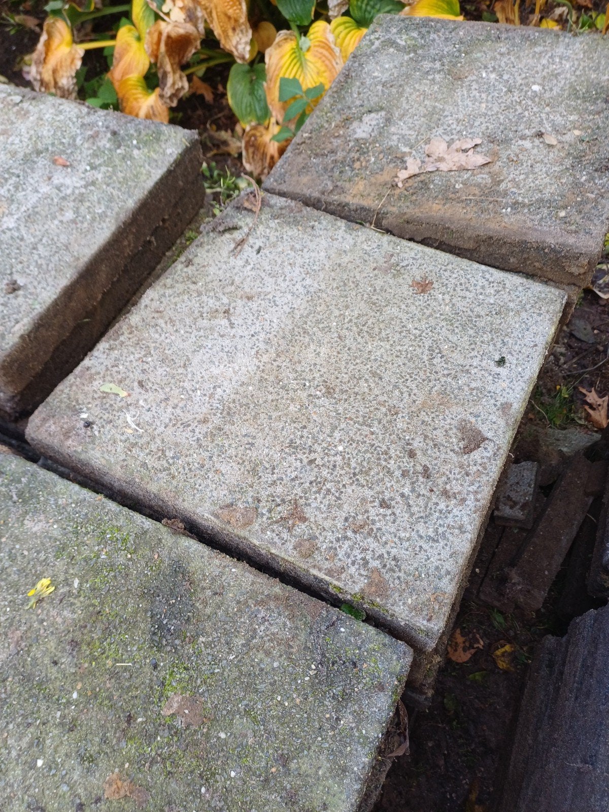 betonnen terrastegels, Tuin en Terras, Ophalen, Terrastegels