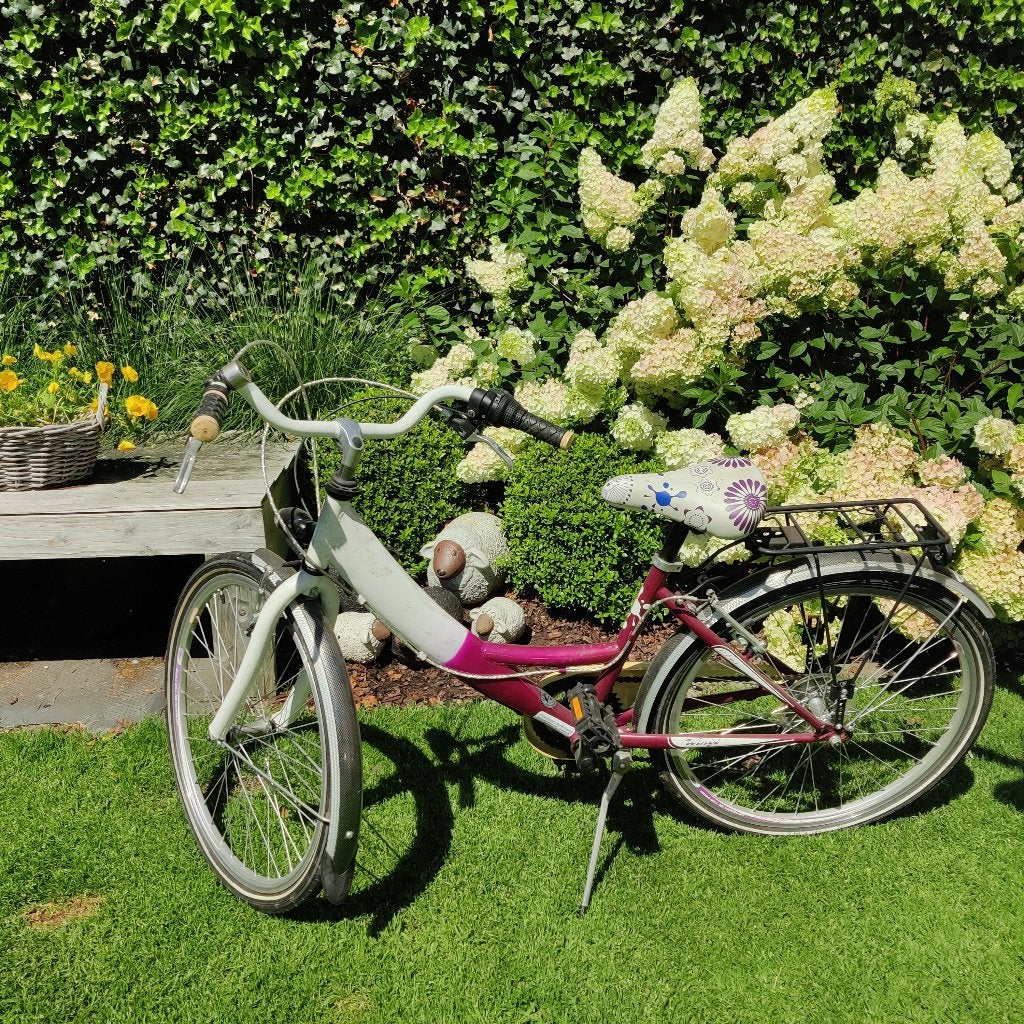 Meisjesfiets Wings Diva 24 inch, Fietsen en Brommers, Fietsen | Meisjes, Ophalen, Zo goed als nieuw, 24 inch
