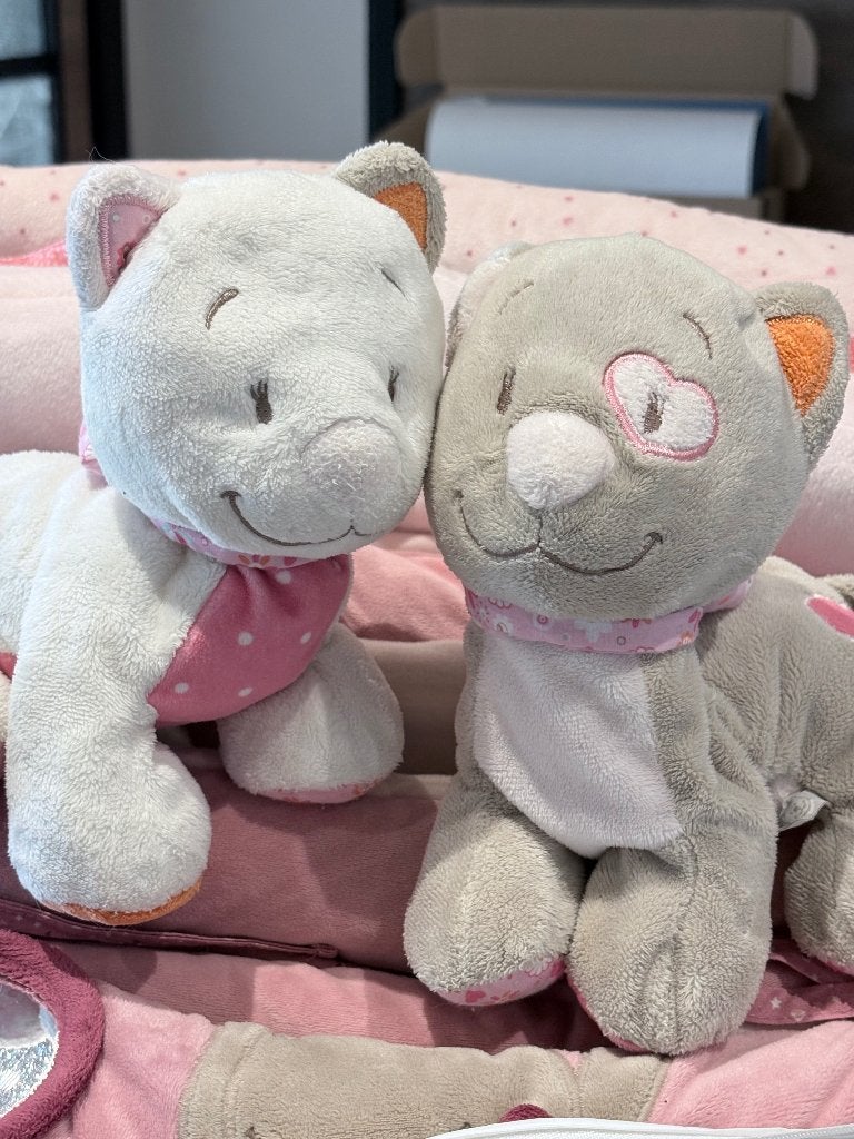 Noukies - Peluches - Iris & Babette, Gris, Autres usages, Comme neuf, Enlèvement