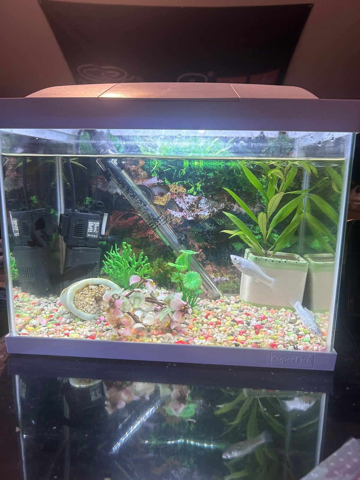 Superfish aquarium, Ophalen, Zo goed als nieuw