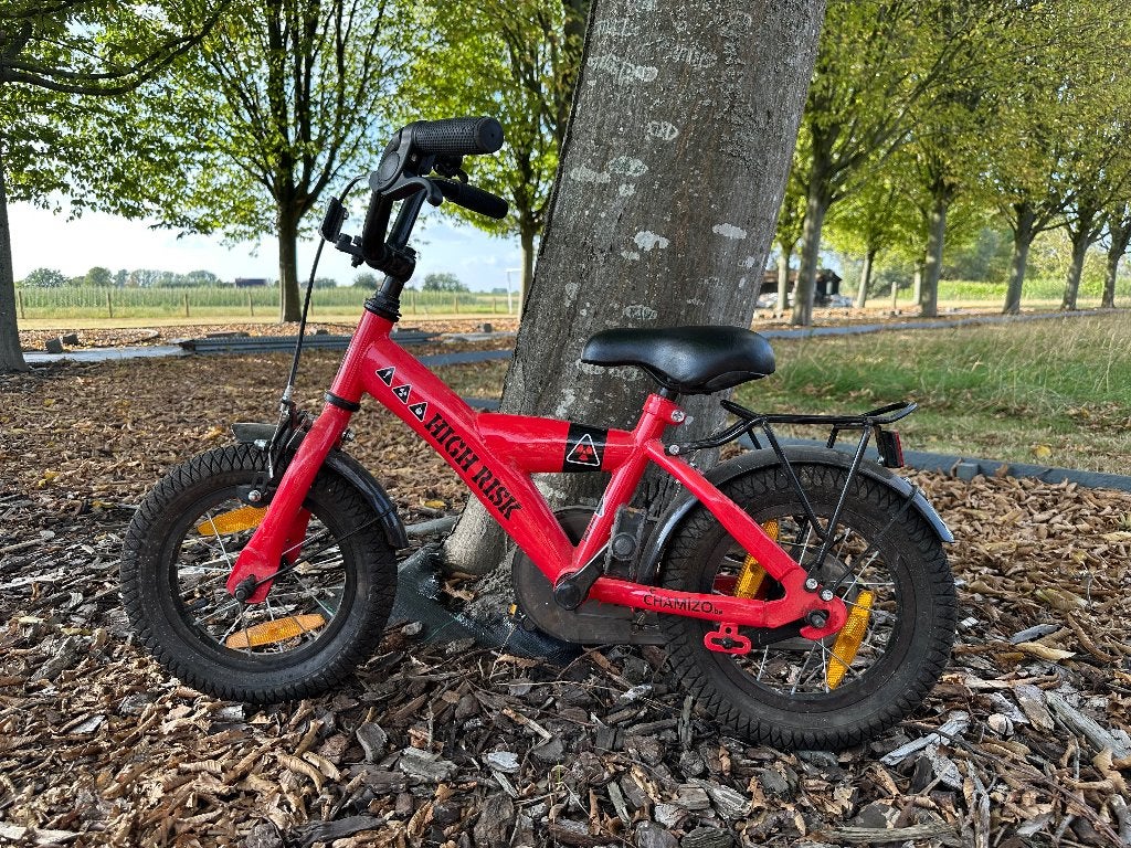 Kinderfiets 12 inch, Ophalen, Gebruikt, Minder dan 16 inch, Zijwieltjes
