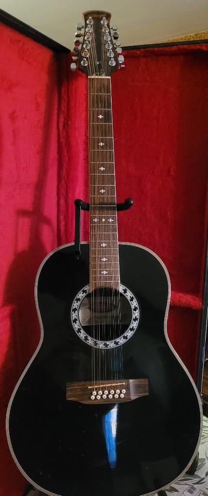 Stagg elektro-akoestische gitaar, Muziek en Instrumenten, Ophalen, 12-snarig
