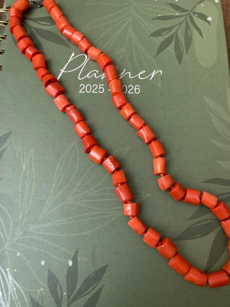 Collier en Corail rouge d’une longueur de 45 cm, Ophalen, Nieuw, Steen of Mineraal, Met edelsteen