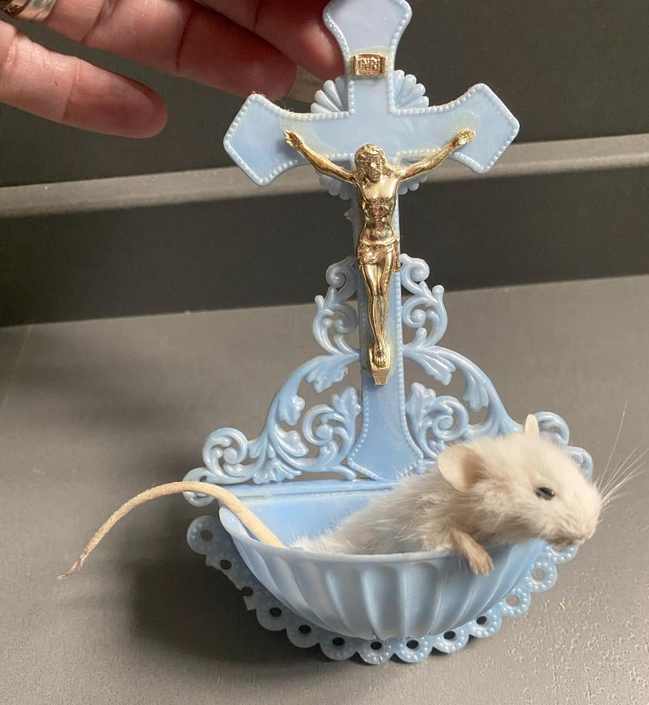 Heilige muis in wijwaterbakje - taxidermie, Ophalen of Verzenden