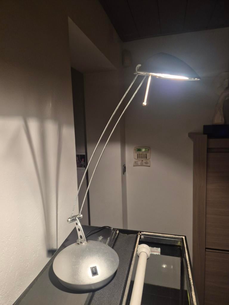 Bureaulamp fantasia, Enlèvement