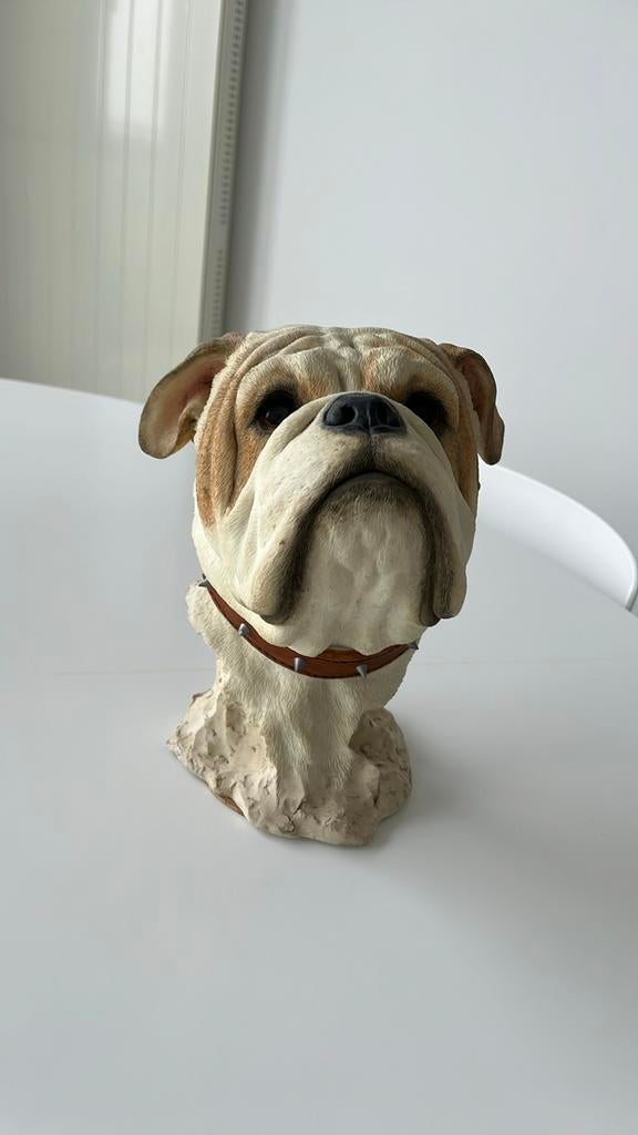 Bulldog, Ophalen of Verzenden, Zo goed als nieuw