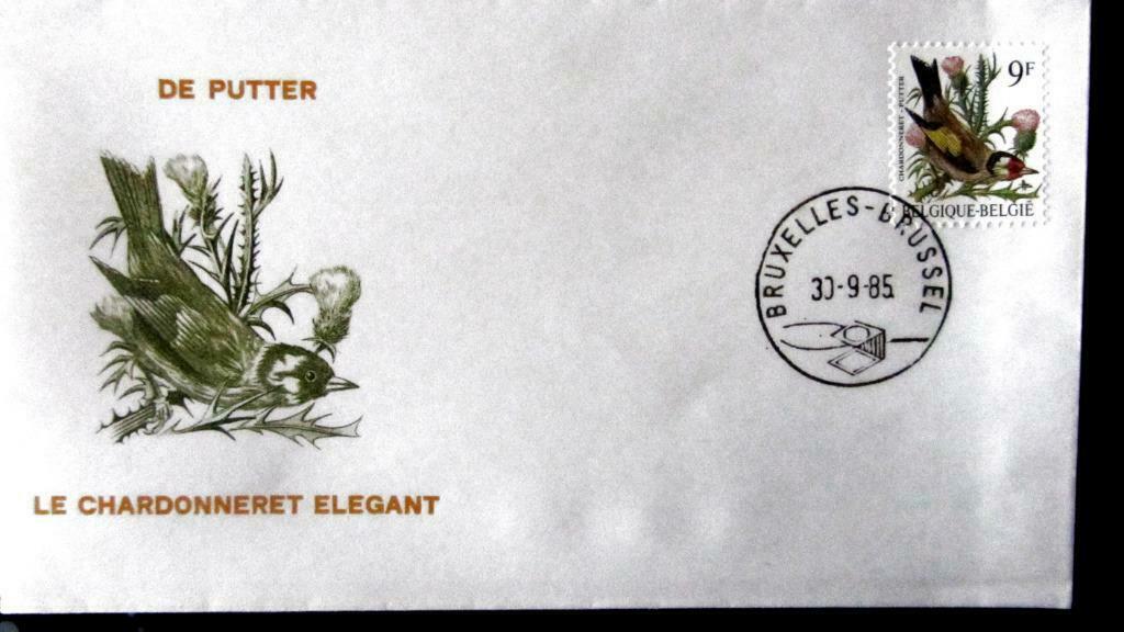 FIRST DAY COVER- VOGELS VAN BUZIN- DE PUTTER, Enlèvement ou Envoi, Affranchi, Animal et Nature