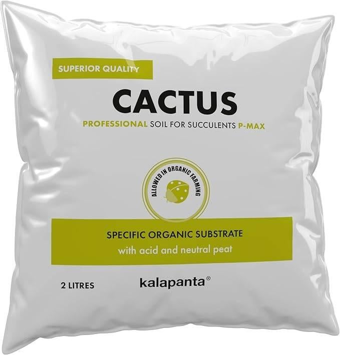 Terreau pour cactus | LIVRAISON GRATUITE, Jardin & Terrasse, Envoi, Terreau