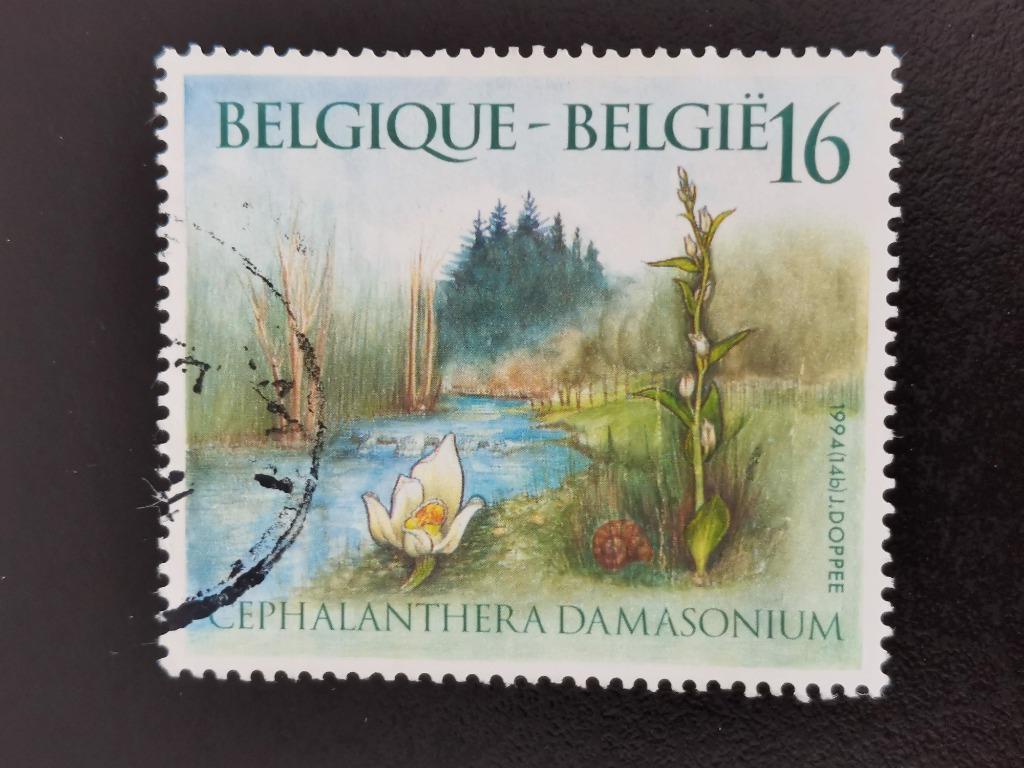 Belgique 1994 - fleurs sauvages - Céphalanthère pâle, Enlèvement ou Envoi, Affranchi