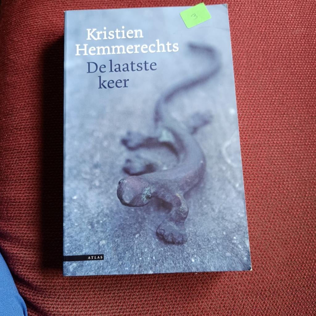 Kristien Hemmerechts - De laatste keer, Ophalen of Verzenden, Kristien Hemmerechts