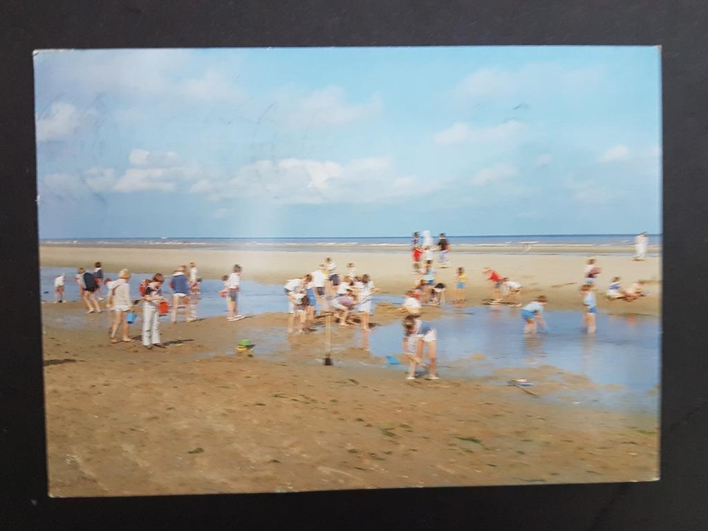 Postkaart Sint St. Idesbald Koksijde Home Kindervreugd, Enlèvement ou Envoi, 1980 à nos jours, Affranchie, Flandre Occidentale
